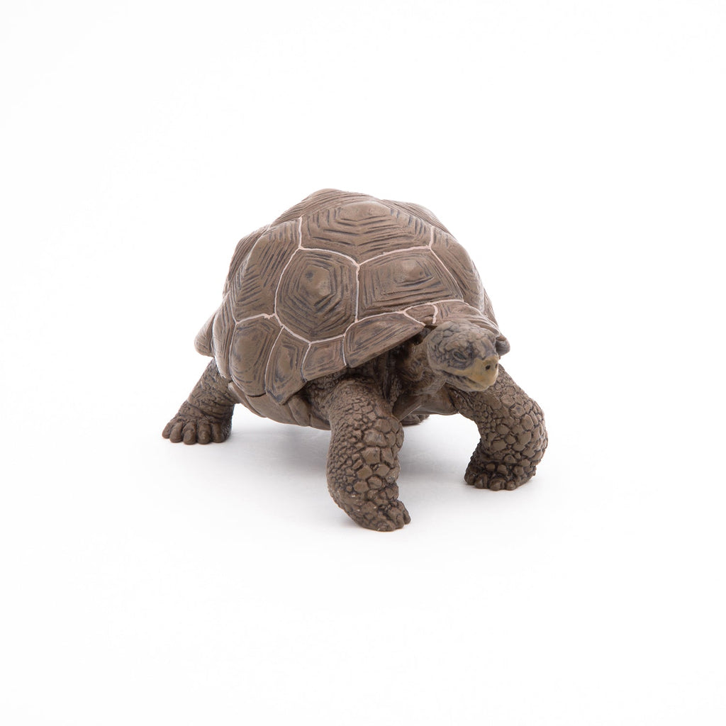 Figurine Tortue des Galápagos Papo - animal sauvage