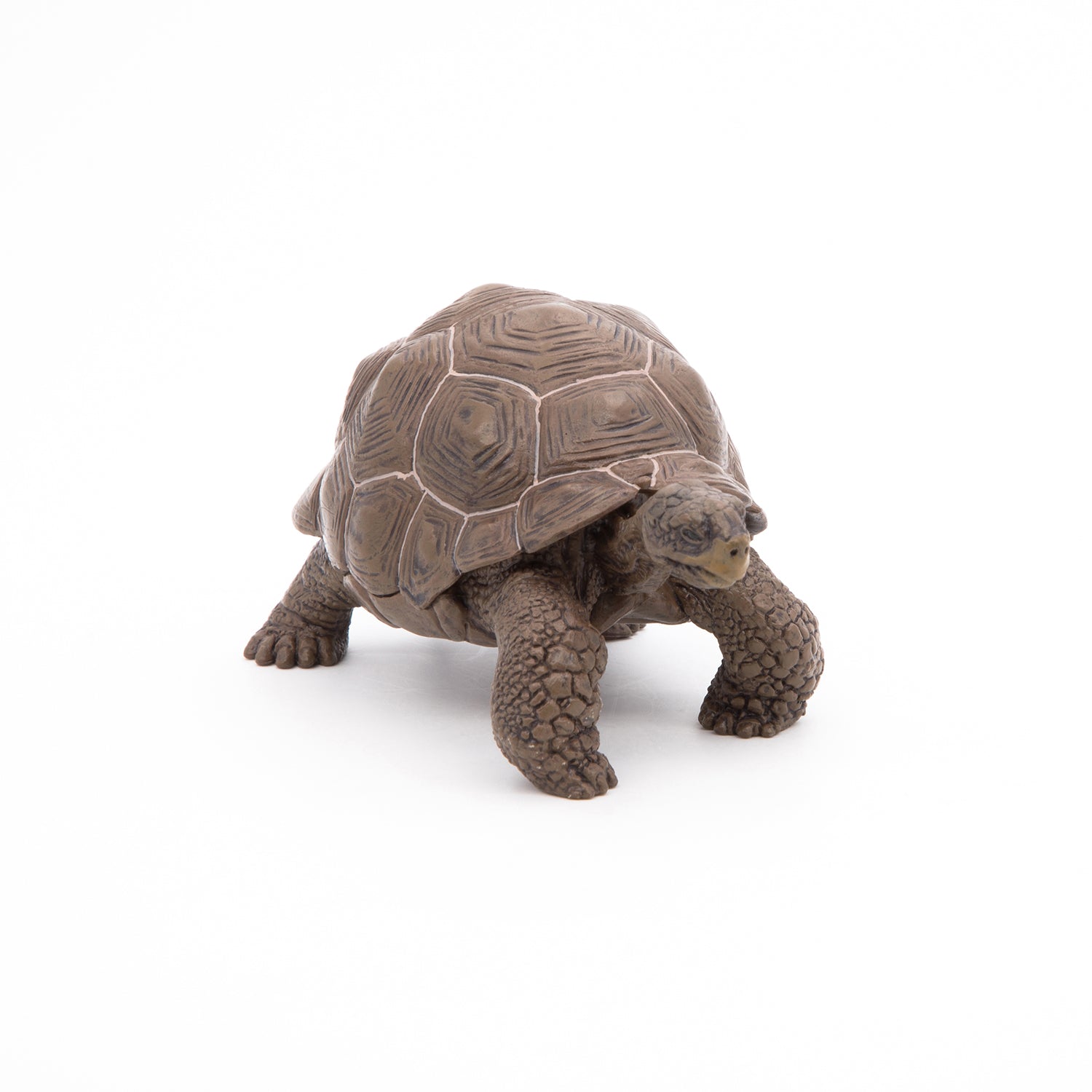 Figurine Tortue des Galápagos Papo - animal sauvage