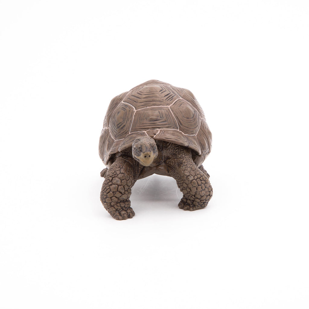 Figurine Tortue des Galápagos Papo - animal sauvage