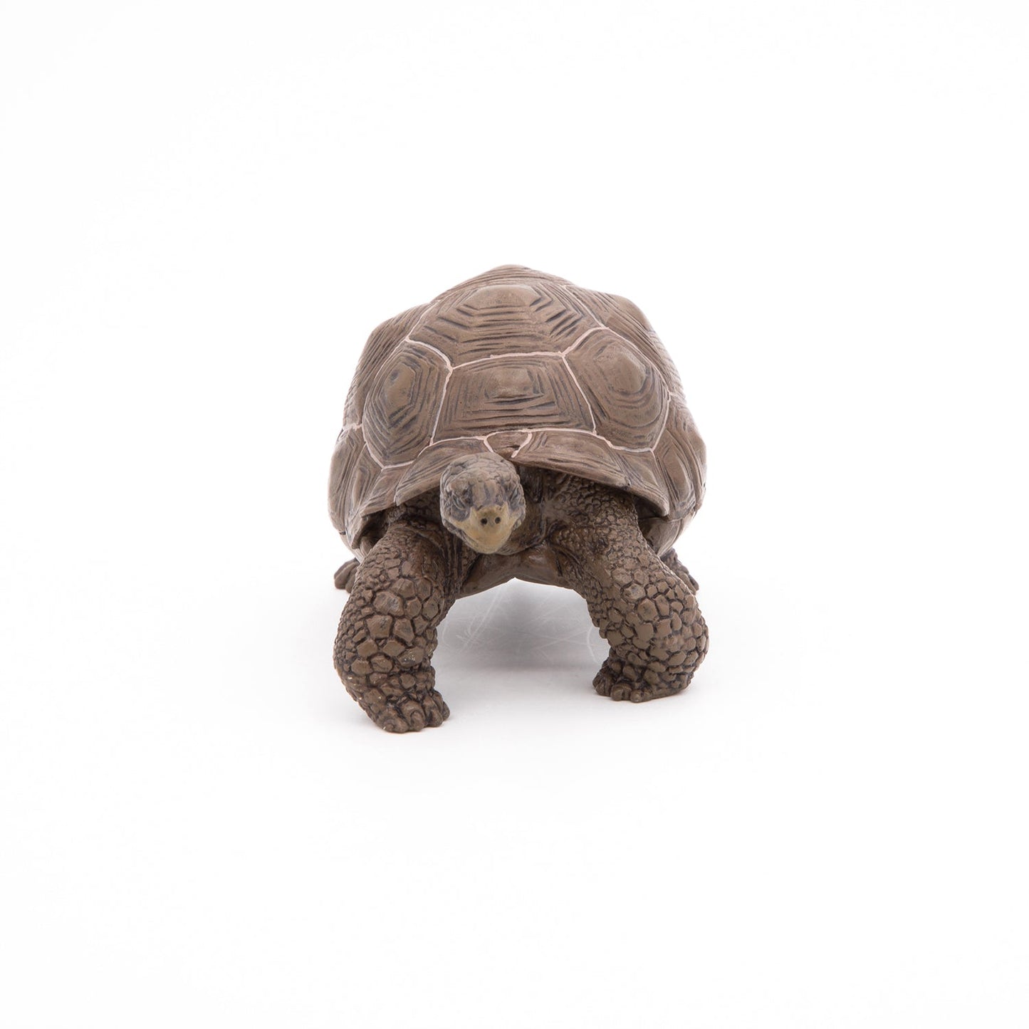 Figurine Tortue des Galápagos Papo - animal sauvage