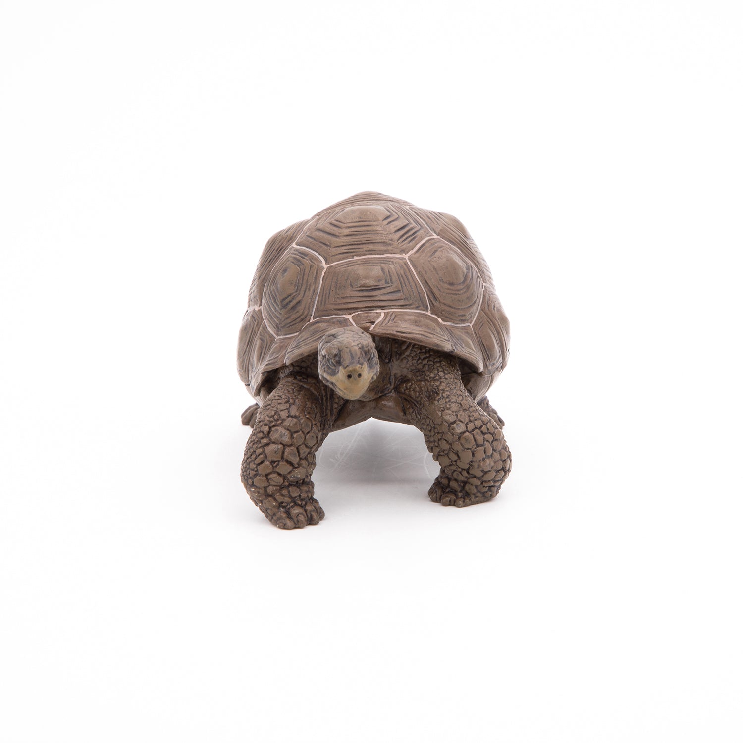 Figurine Tortue des Galápagos Papo - animal sauvage