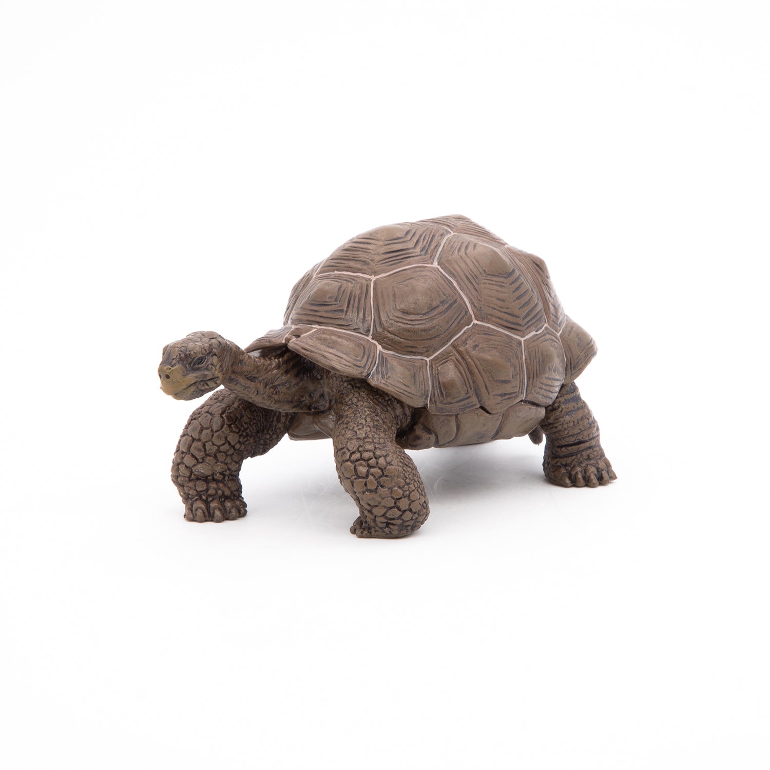 Figurine Tortue des Galápagos Papo - animal sauvage