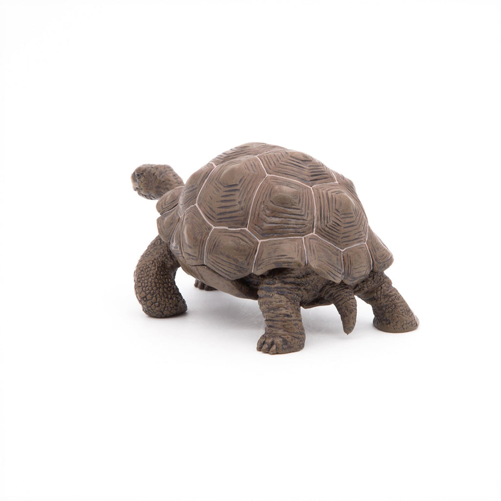 Figurine Tortue des Galápagos Papo - animal sauvage