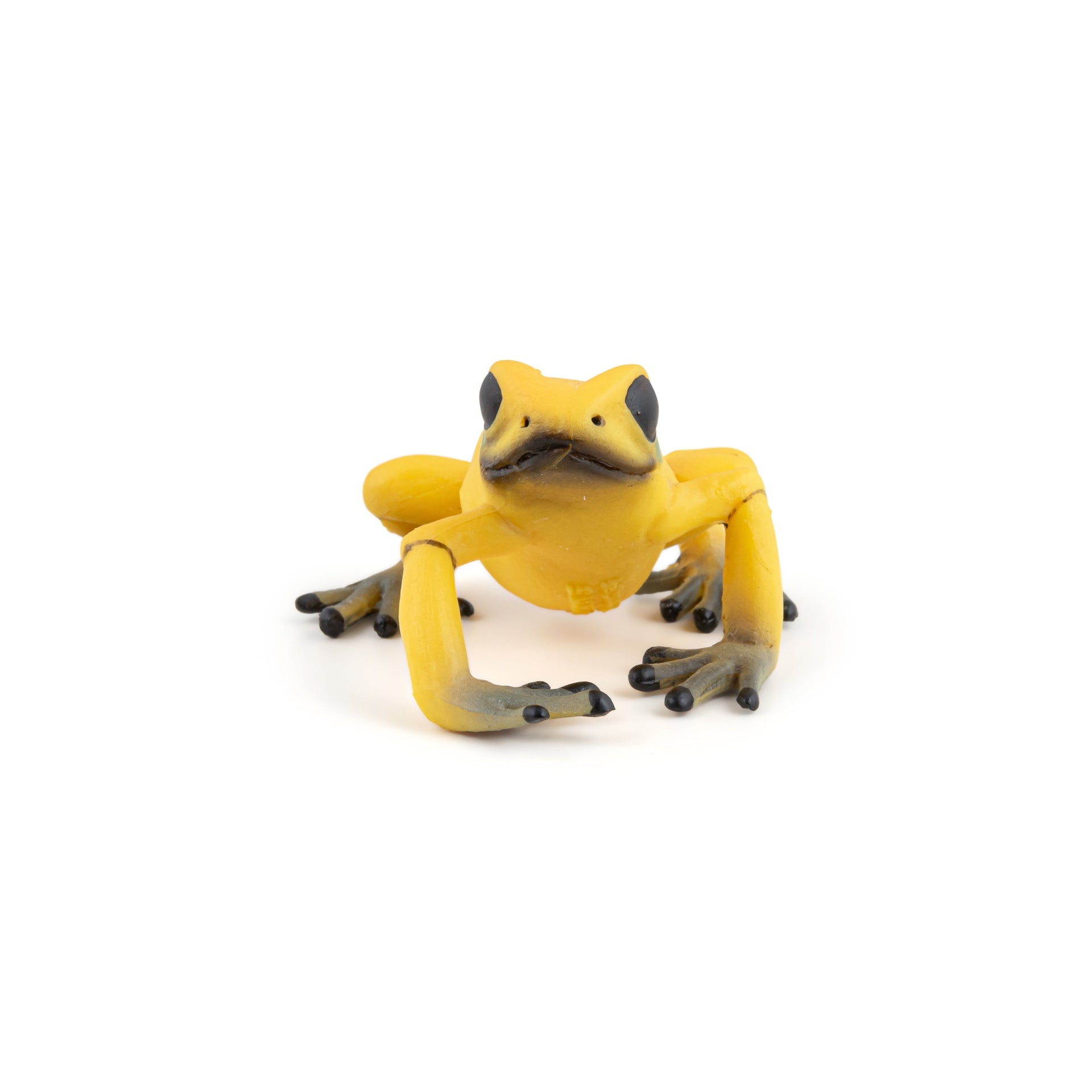 Figurine Grenouille équatoriale jaune Papo - animal sauvage