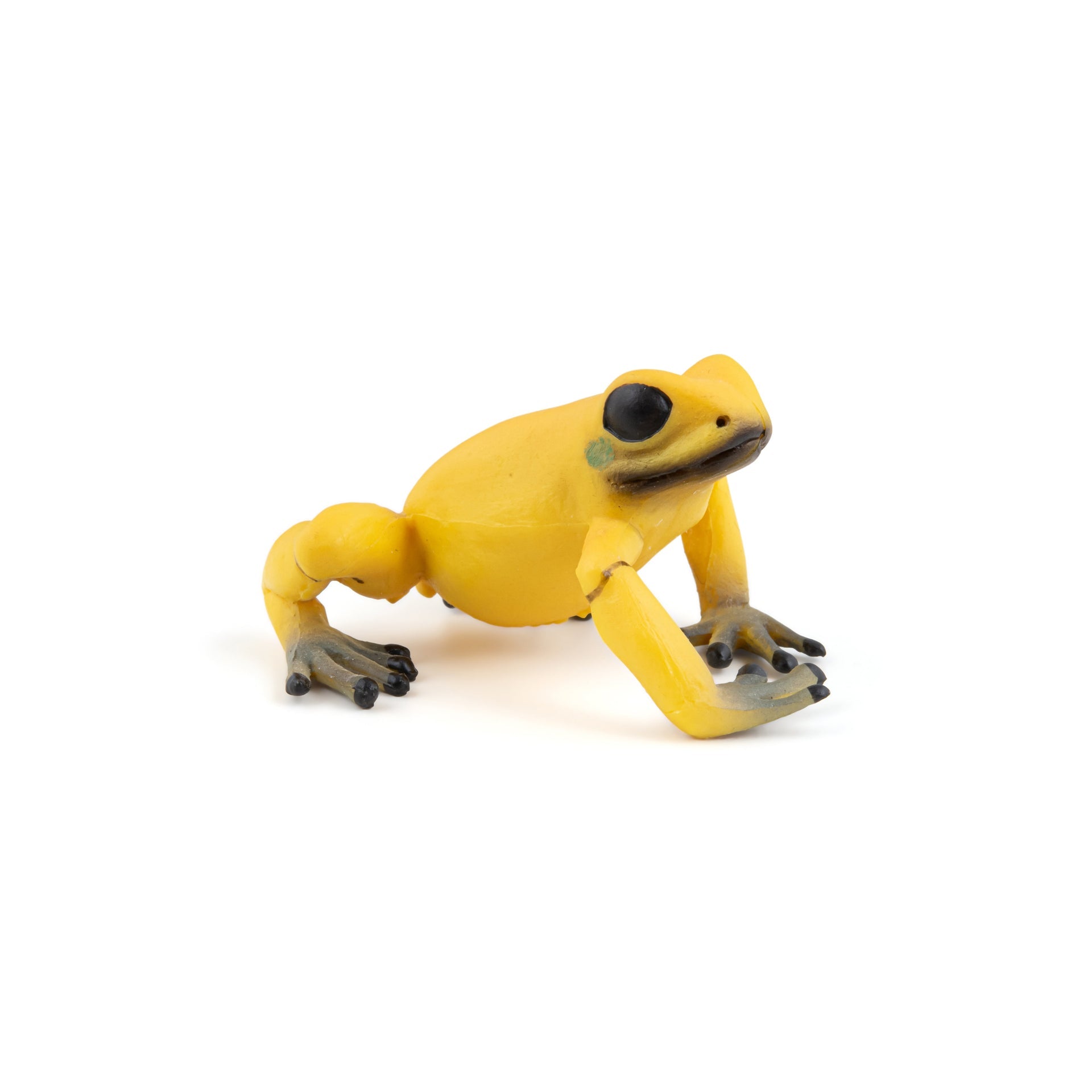 Figurine Grenouille équatoriale jaune Papo - animal sauvage