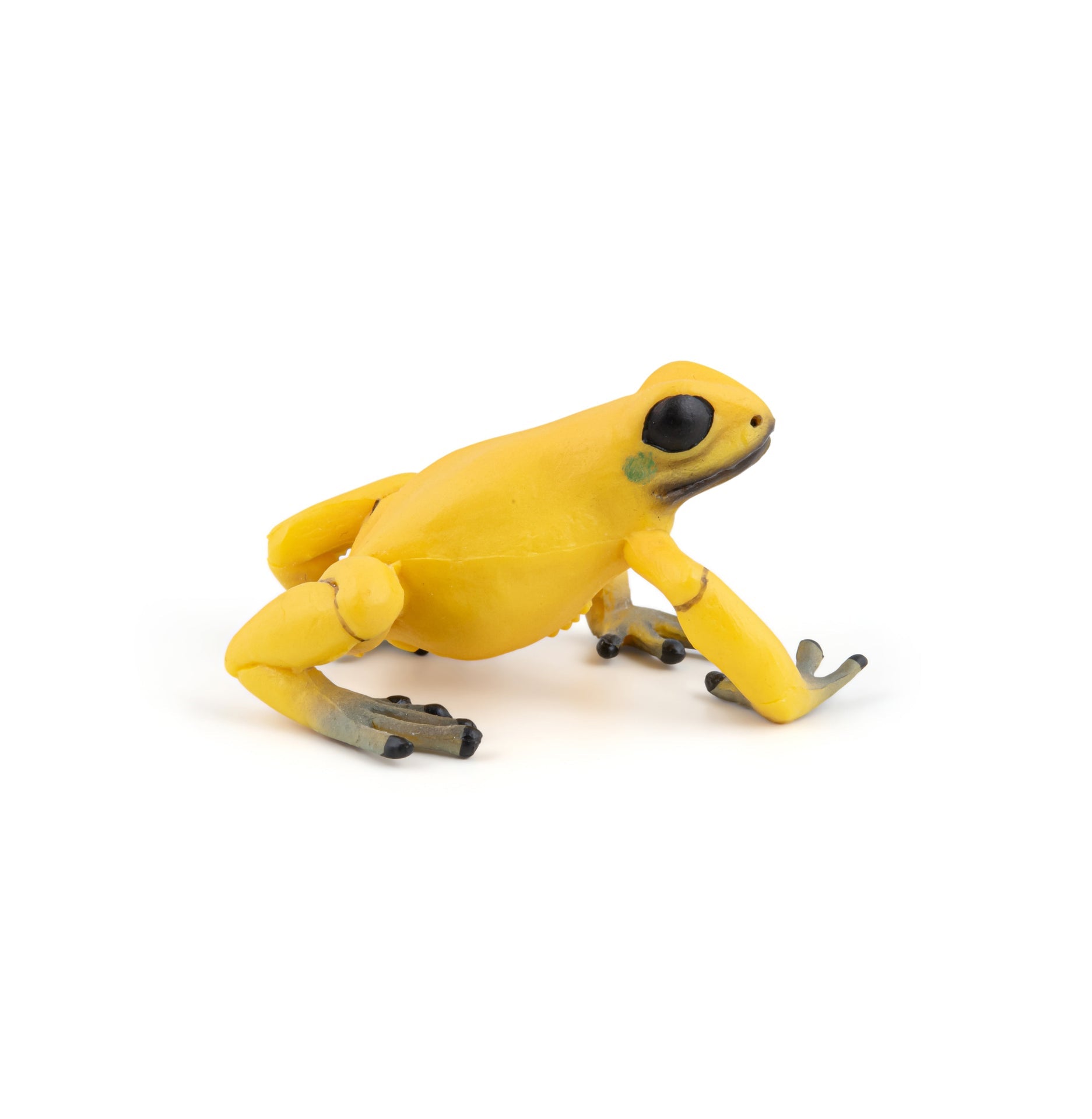 Figurine Grenouille équatoriale jaune Papo - animal sauvage