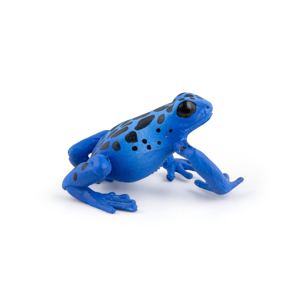 Figurine Grenouille équatoriale bleue Papo - animal sauvage