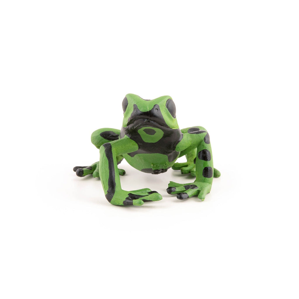 Figurine Grenouille équatoriale verte Papo - animal sauvage
