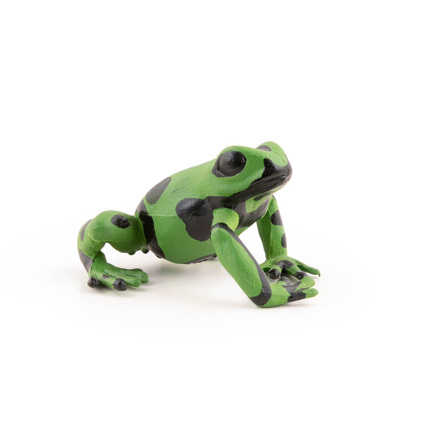 Figurine Grenouille équatoriale verte Papo - animal sauvage