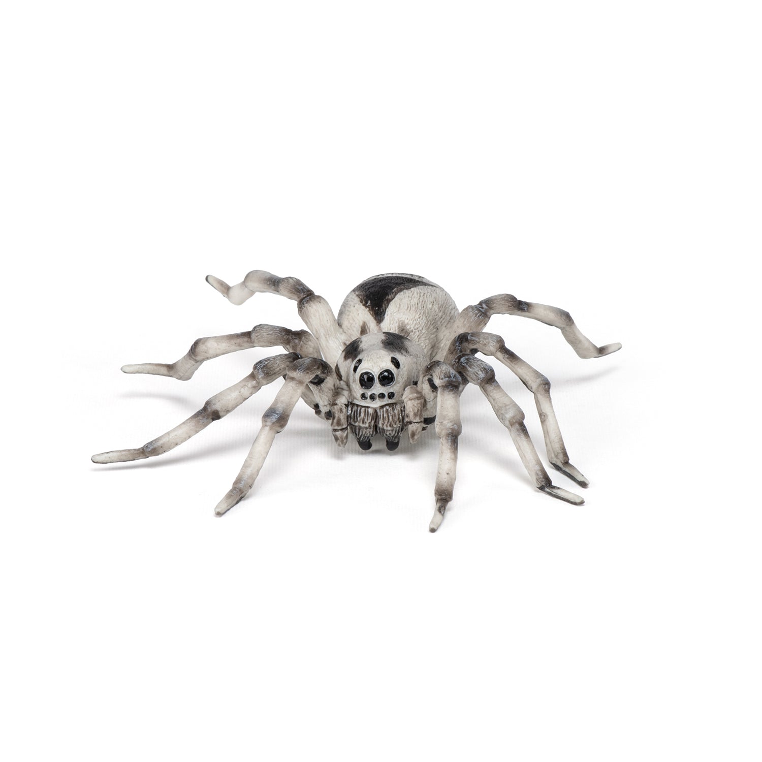 Figurine Tarentule Papo - animal sauvage