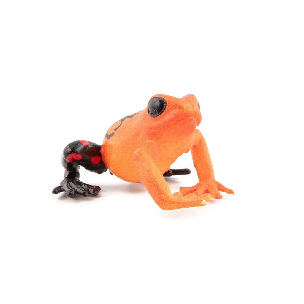 Figurine Grenouille équatoriale rouge Papo - animal sauvage