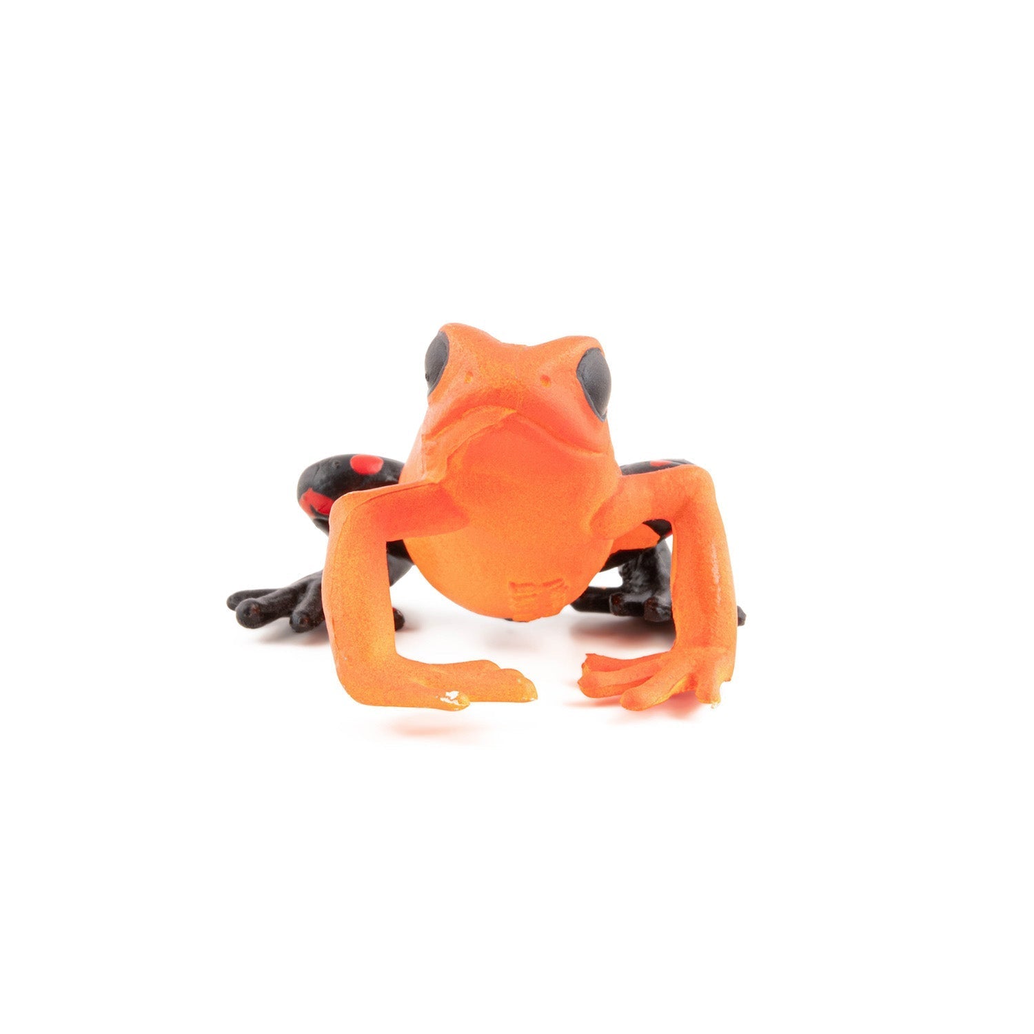Figurine Grenouille équatoriale rouge Papo - animal sauvage