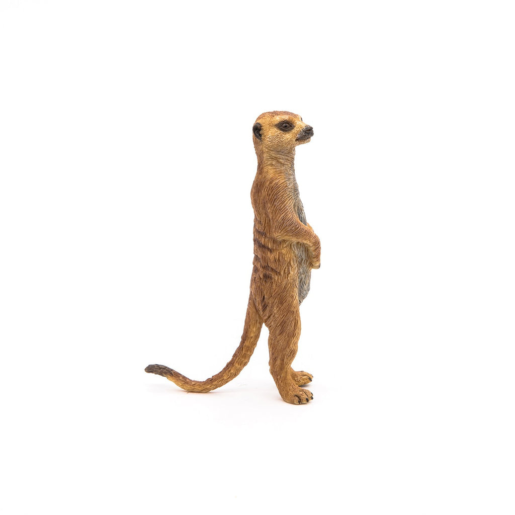 Figurine Suricate debout Papo - animal sauvage