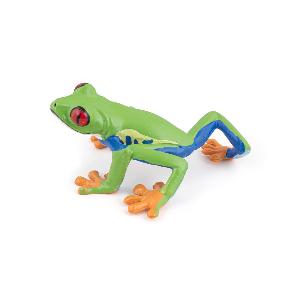 Figurine Rainette aux yeux rouges Papo - animal sauvage