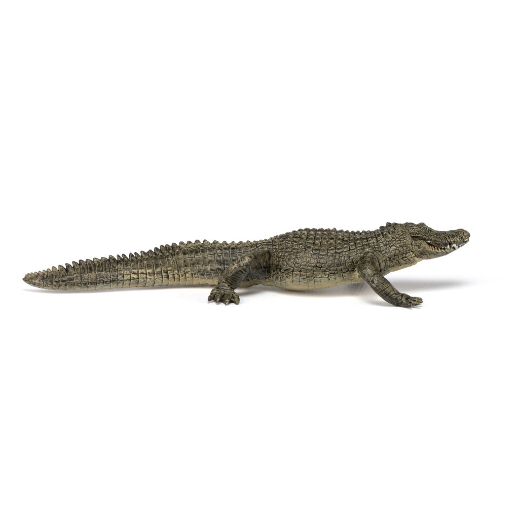 Figurine Alligator Papo - animal sauvage