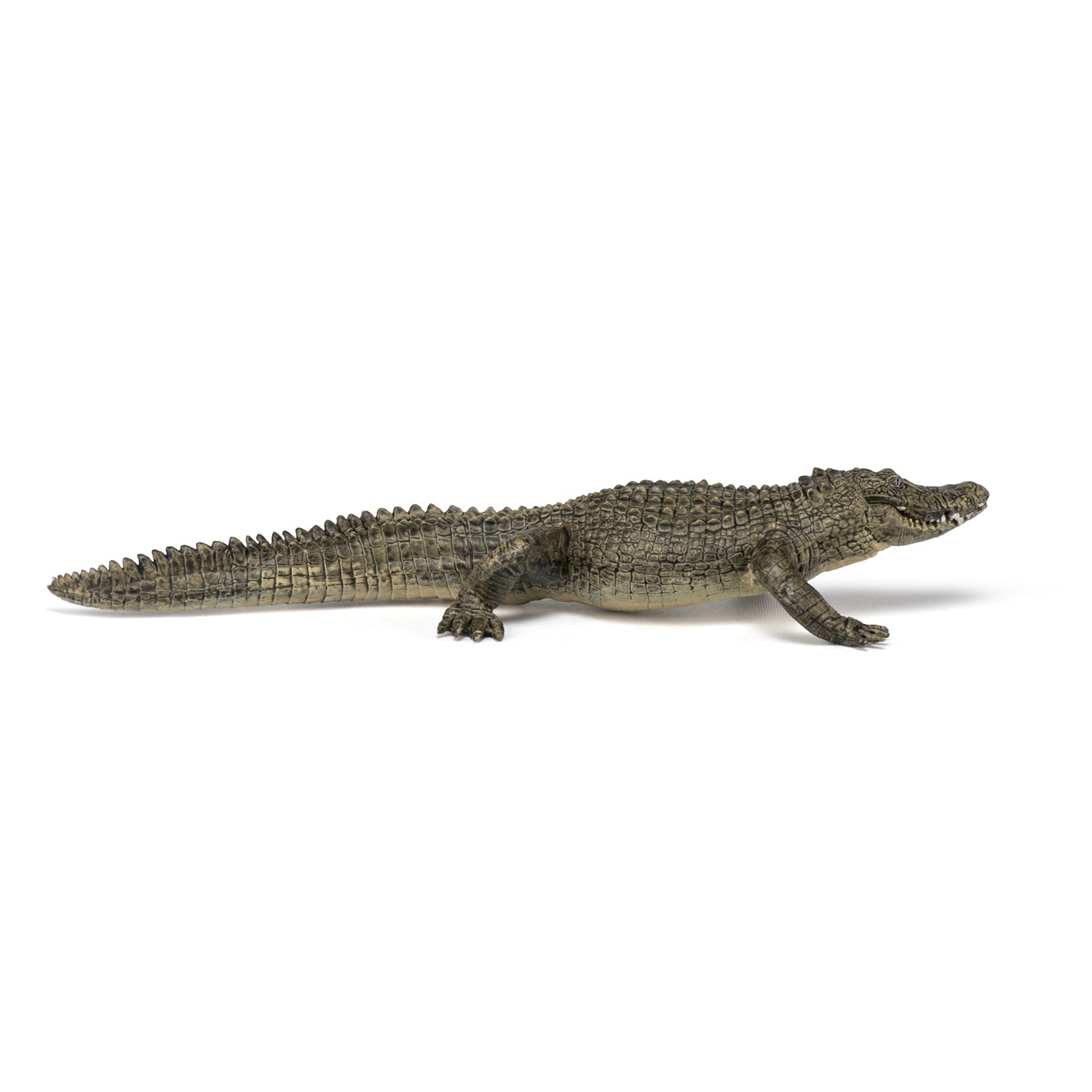 Figurine Alligator Papo - animal sauvage