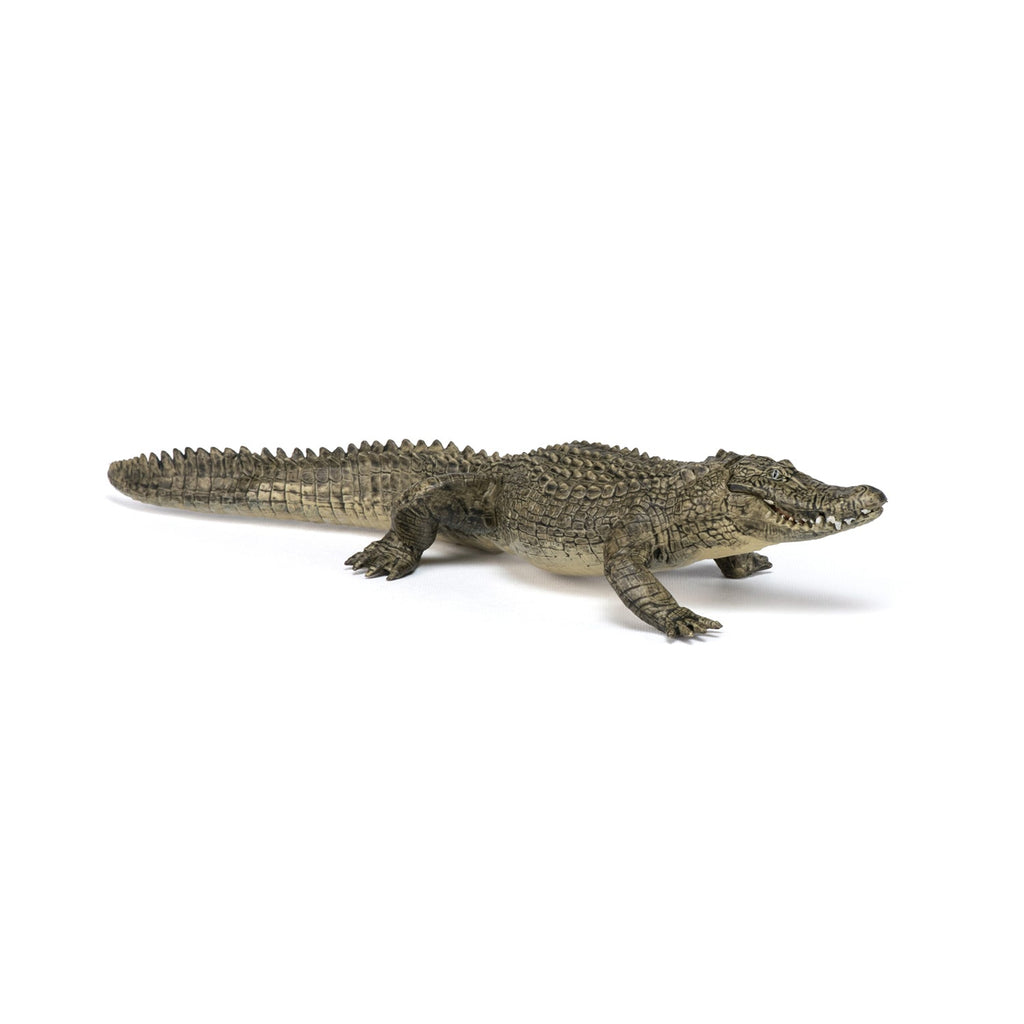 Figurine Alligator Papo - animal sauvage