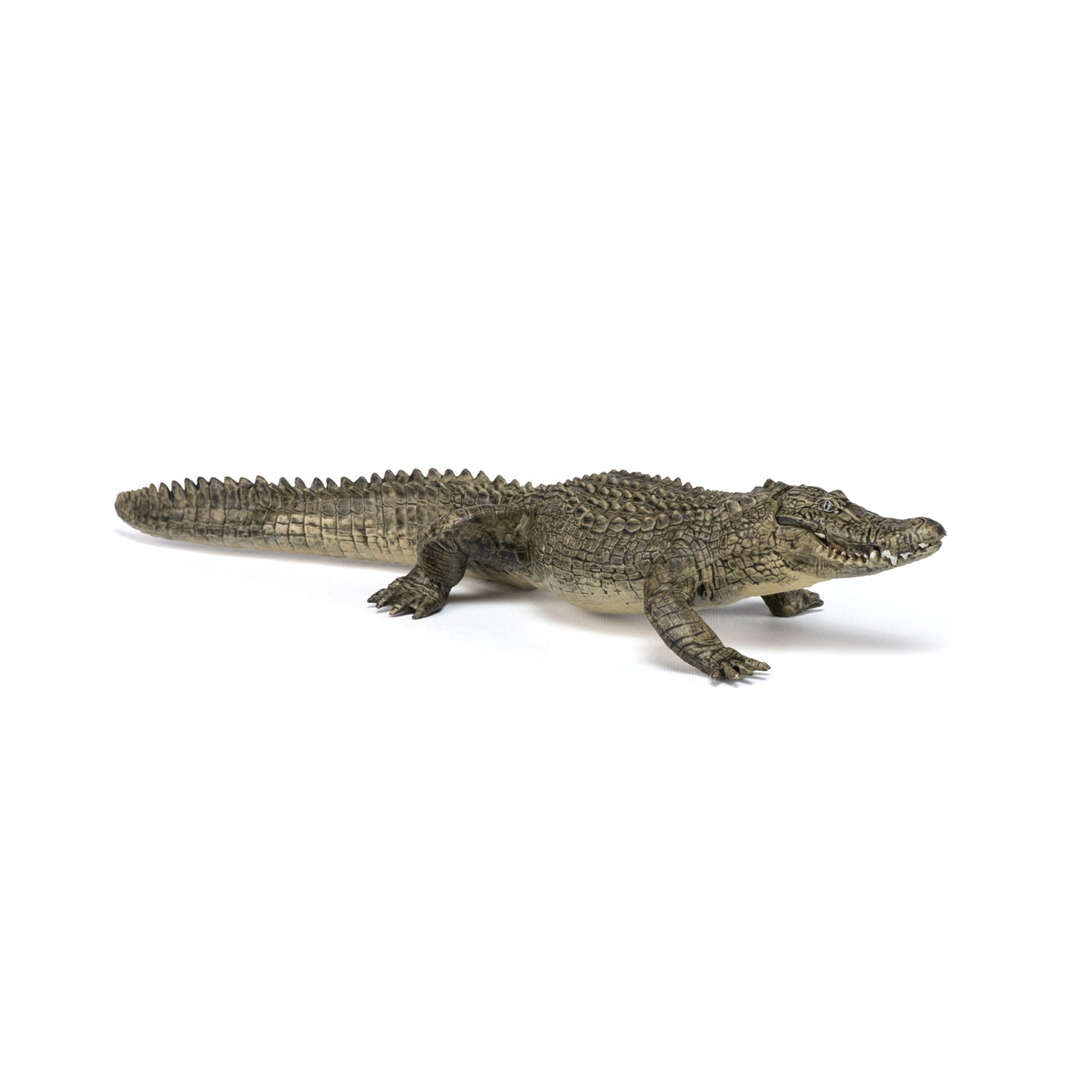 Figurine Alligator Papo - animal sauvage