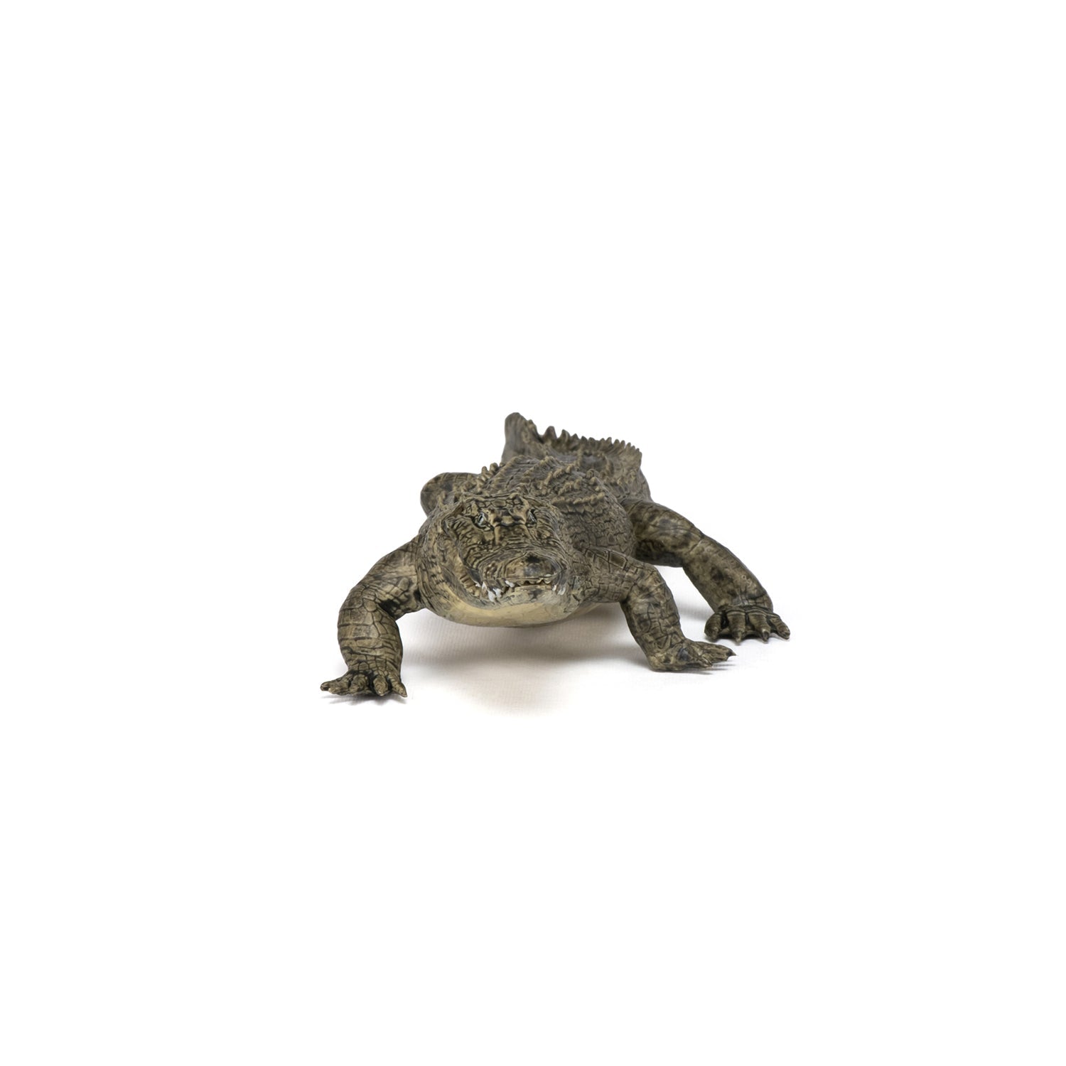 Figurine Alligator Papo - animal sauvage