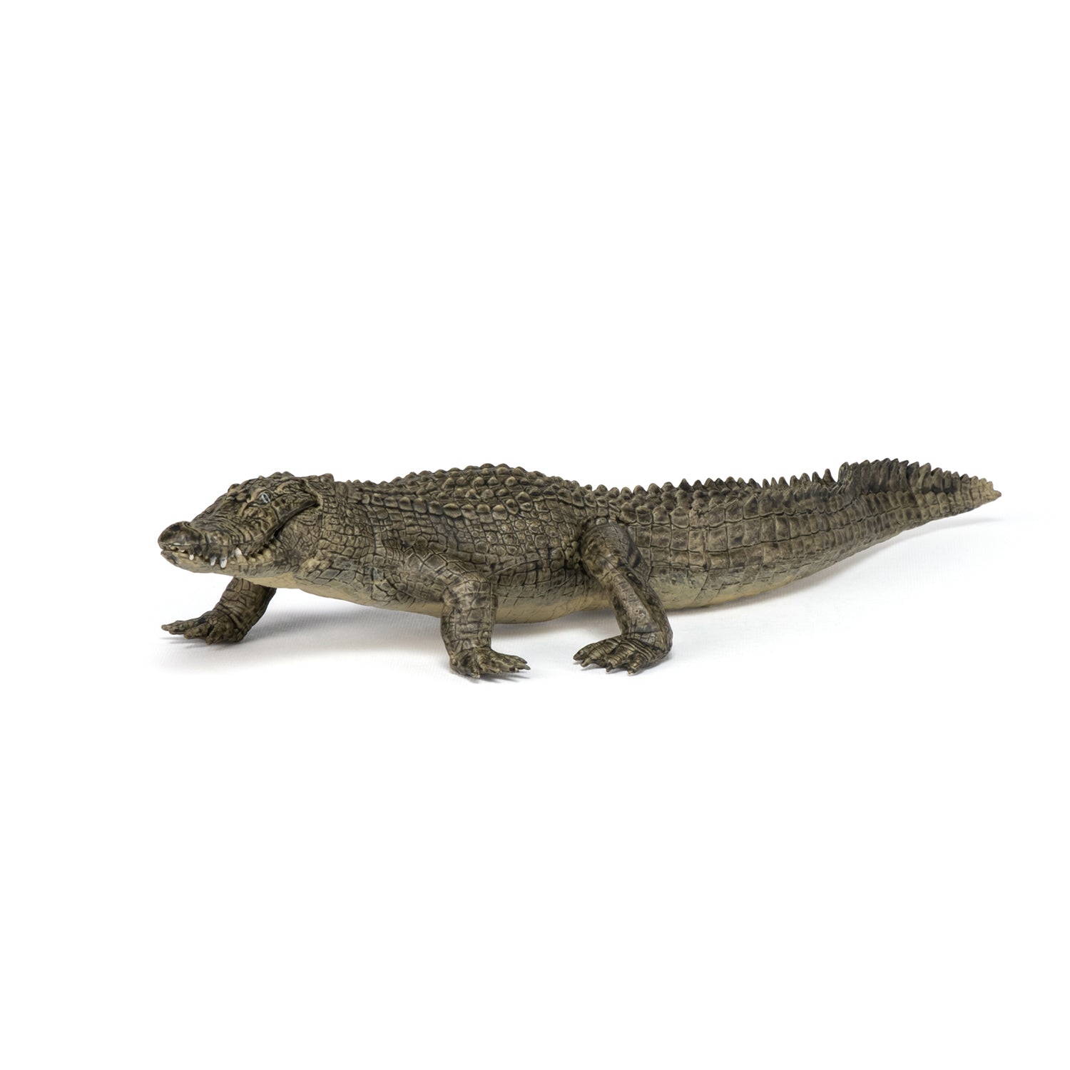 Figurine Alligator Papo - animal sauvage