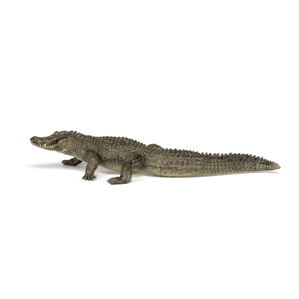 Figurine Alligator Papo - animal sauvage