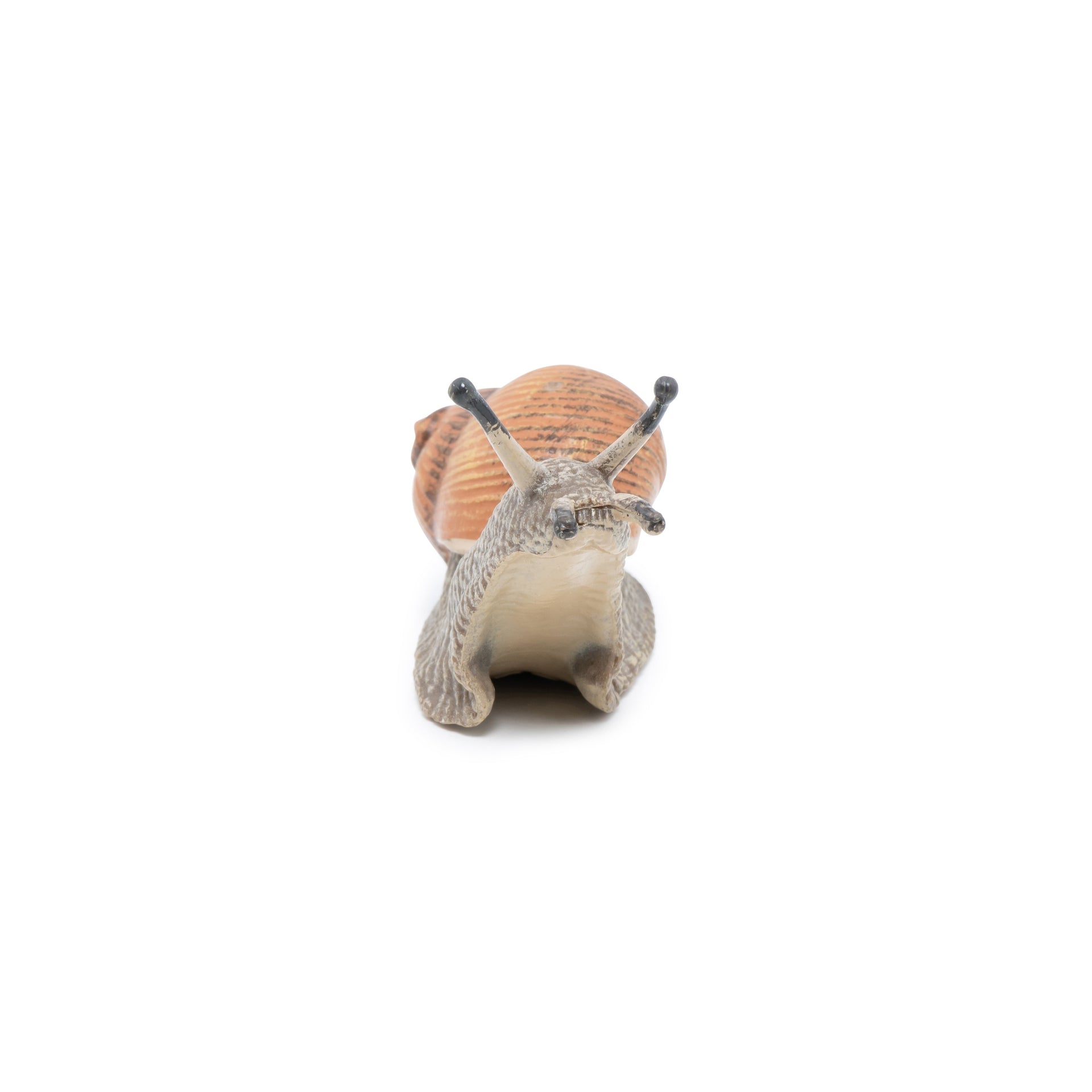 Figurine Escargot Papo - animal du jardin