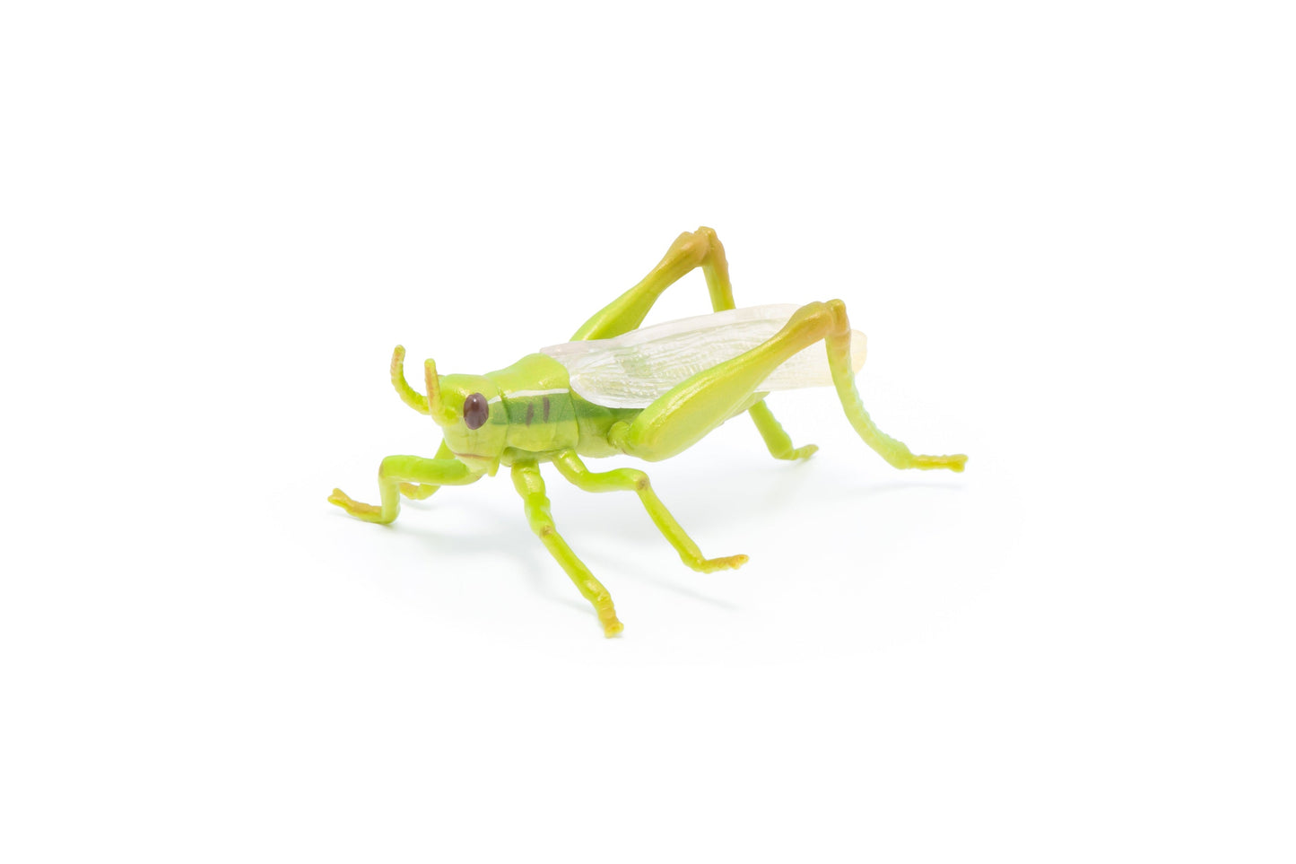 Figurine Sauterelle Papo - animal du jardin