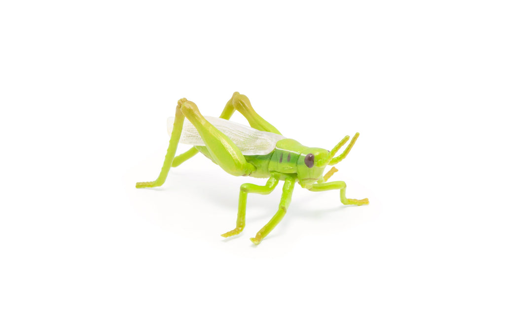 Figurine Sauterelle Papo - animal du jardin