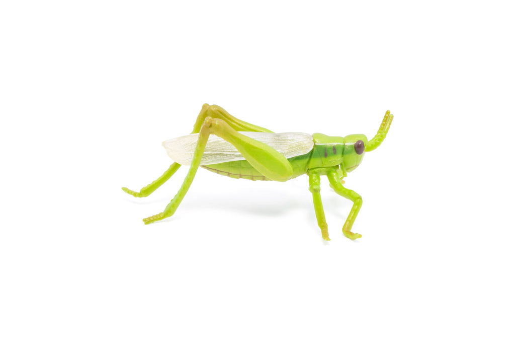 Figurine Sauterelle Papo - animal du jardin