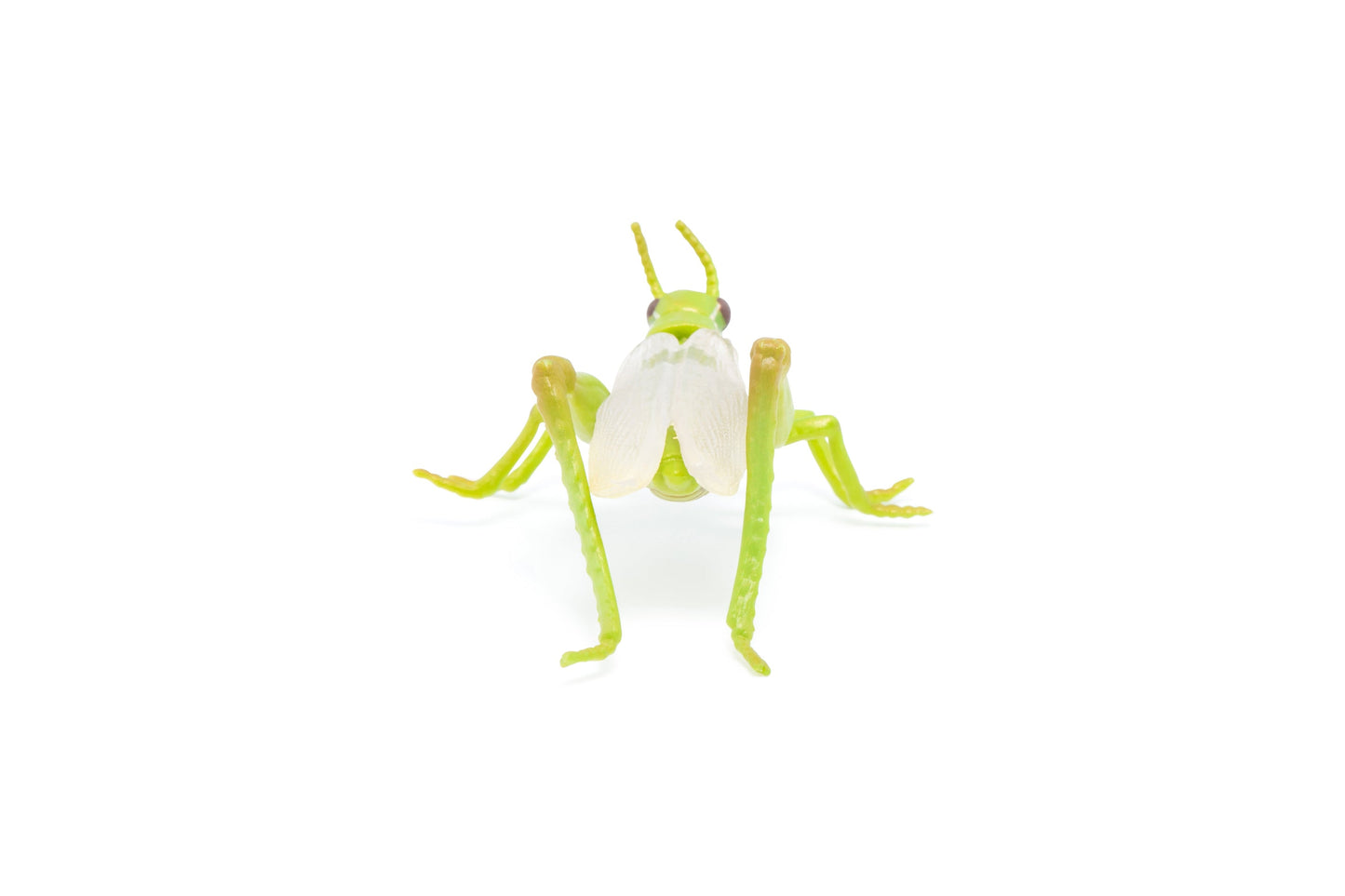 Figurine Sauterelle Papo - animal du jardin