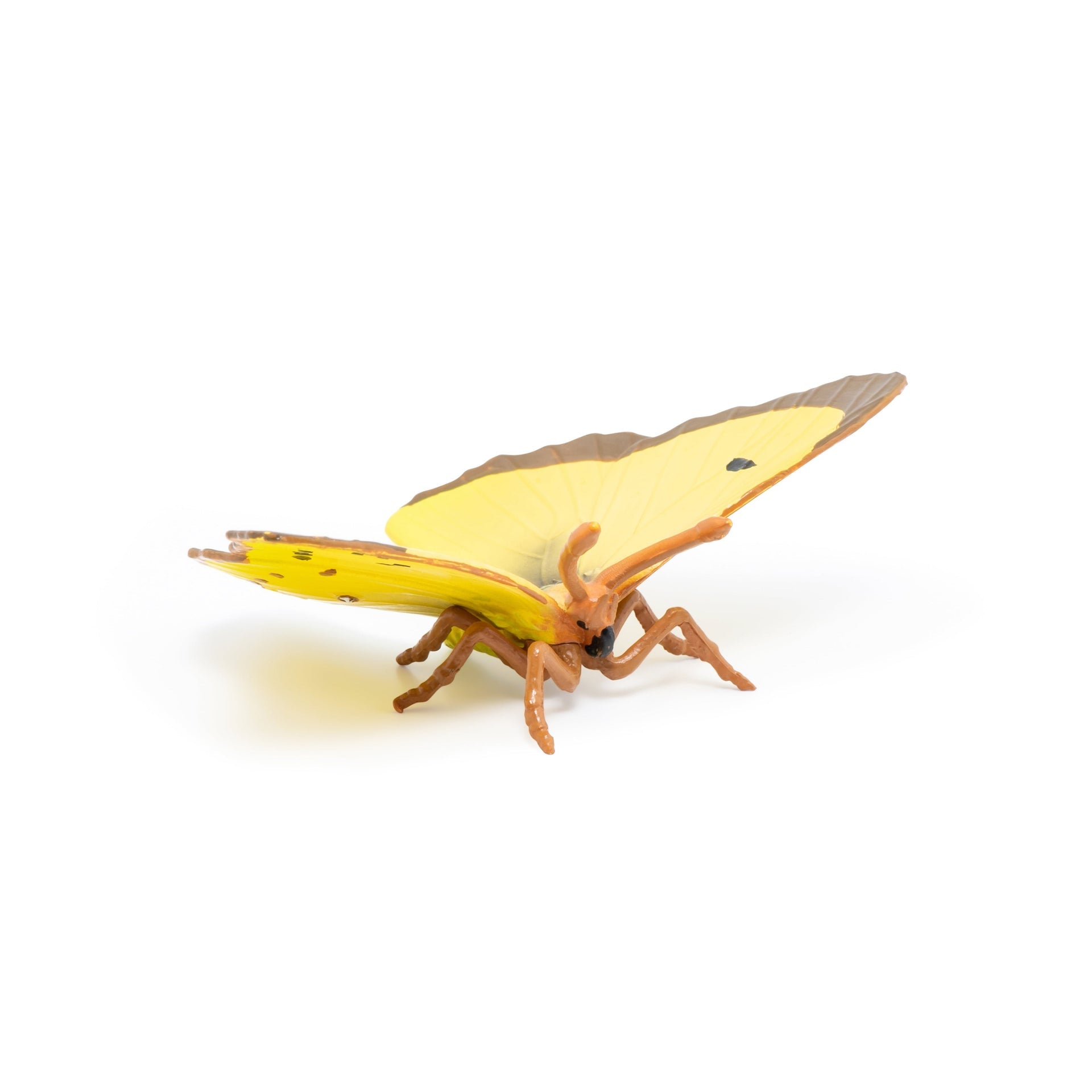 Figurine Papillon Souci Papo - animal du jardin