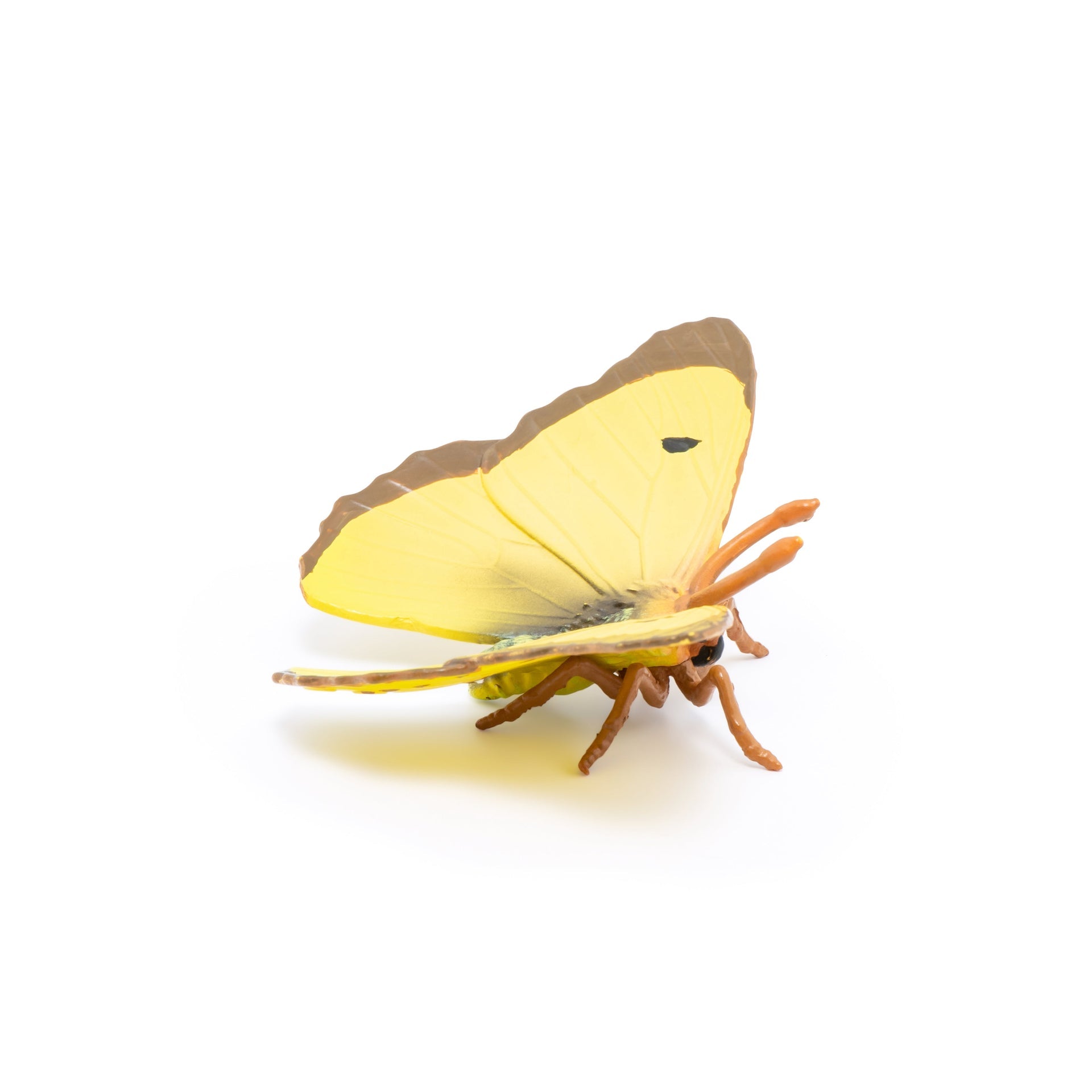 Figurine Papillon Souci Papo - animal du jardin