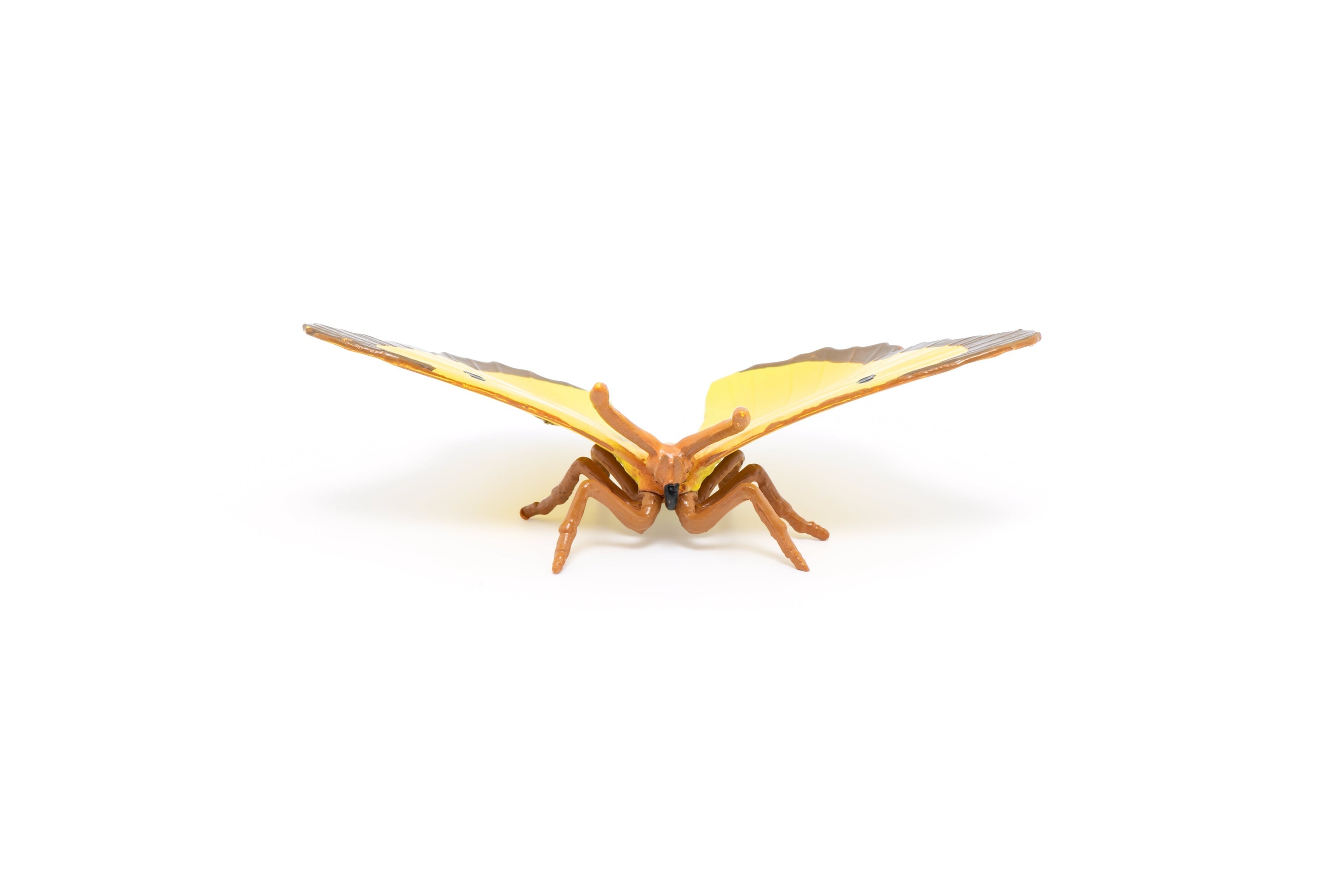 Figurine Papillon Souci Papo - animal du jardin
