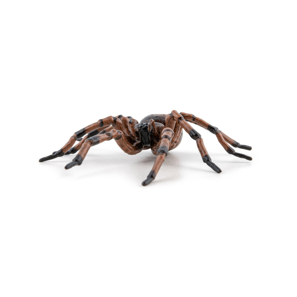 Figurine Araignée commune Papo - animal du jardin