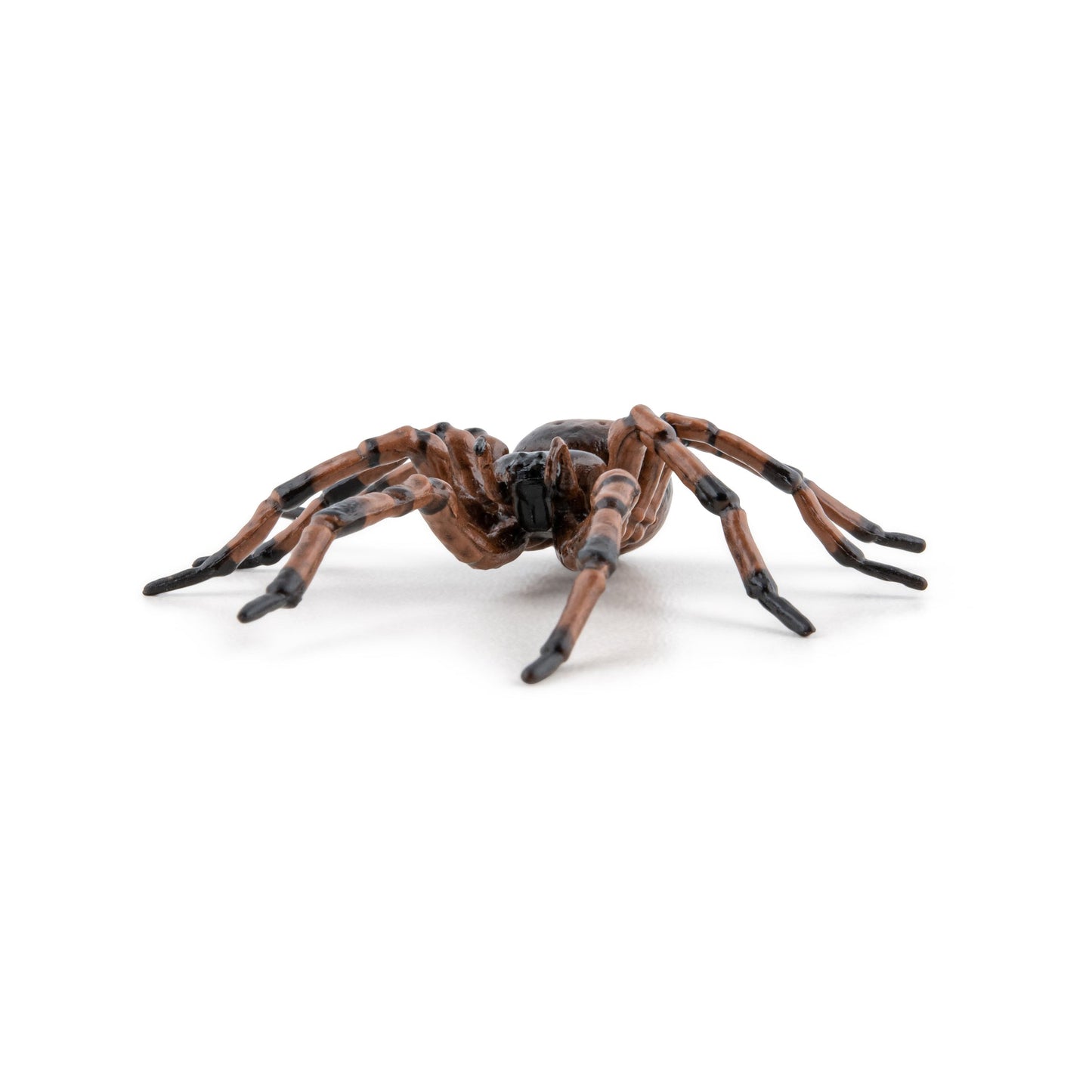 Figurine Araignée commune Papo - animal du jardin