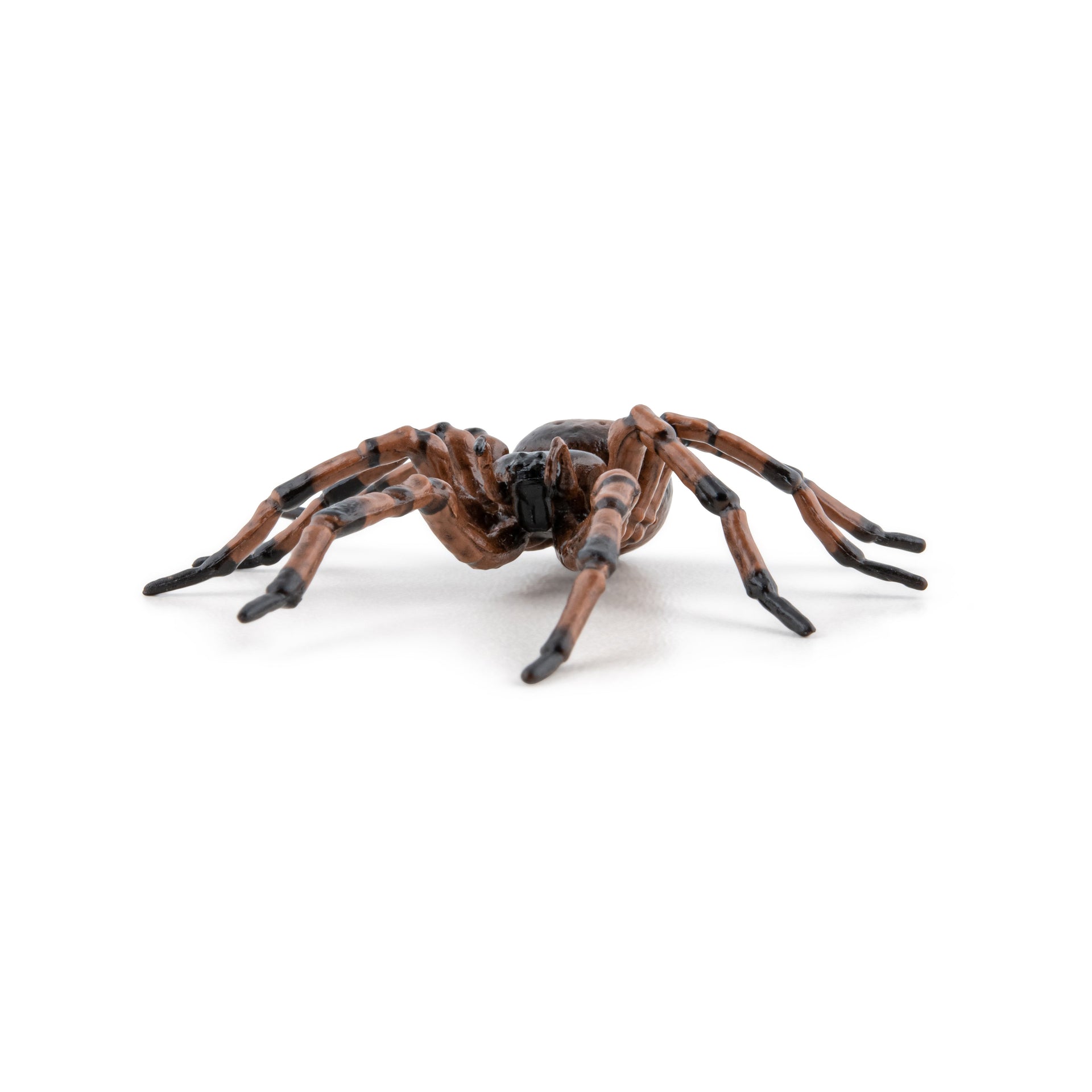 Figurine Araignée commune Papo - animal du jardin