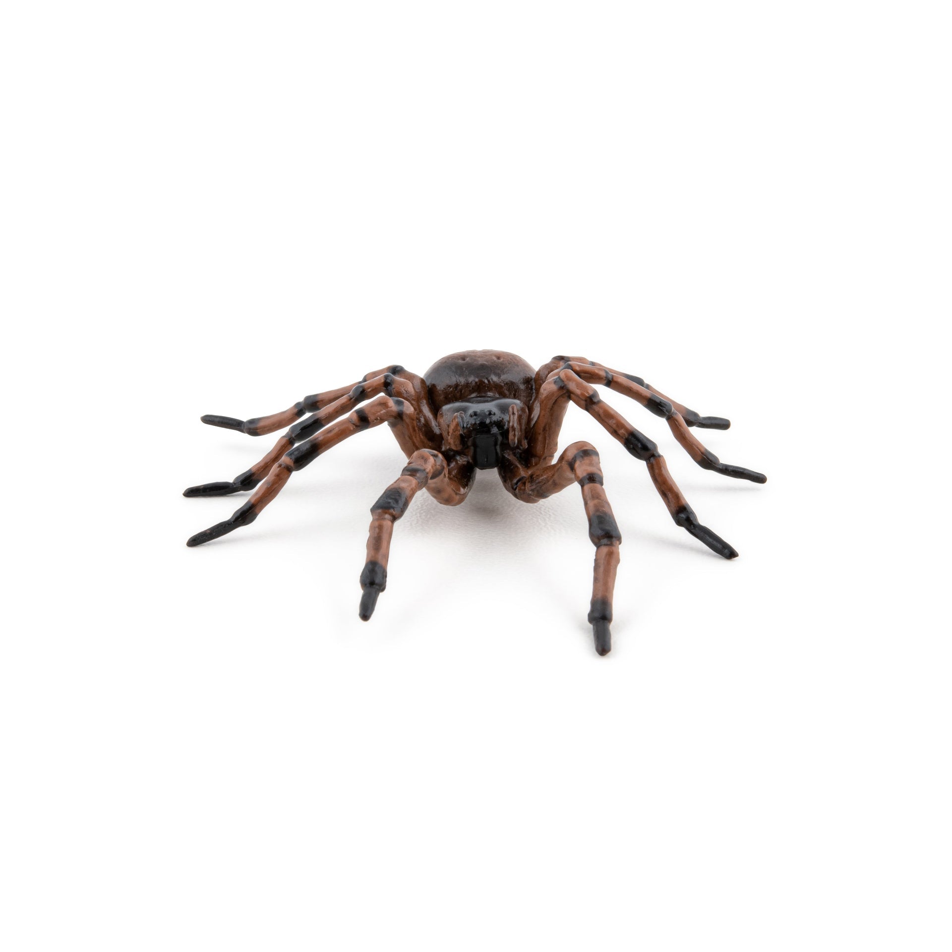 Figurine Araignée commune Papo - animal du jardin