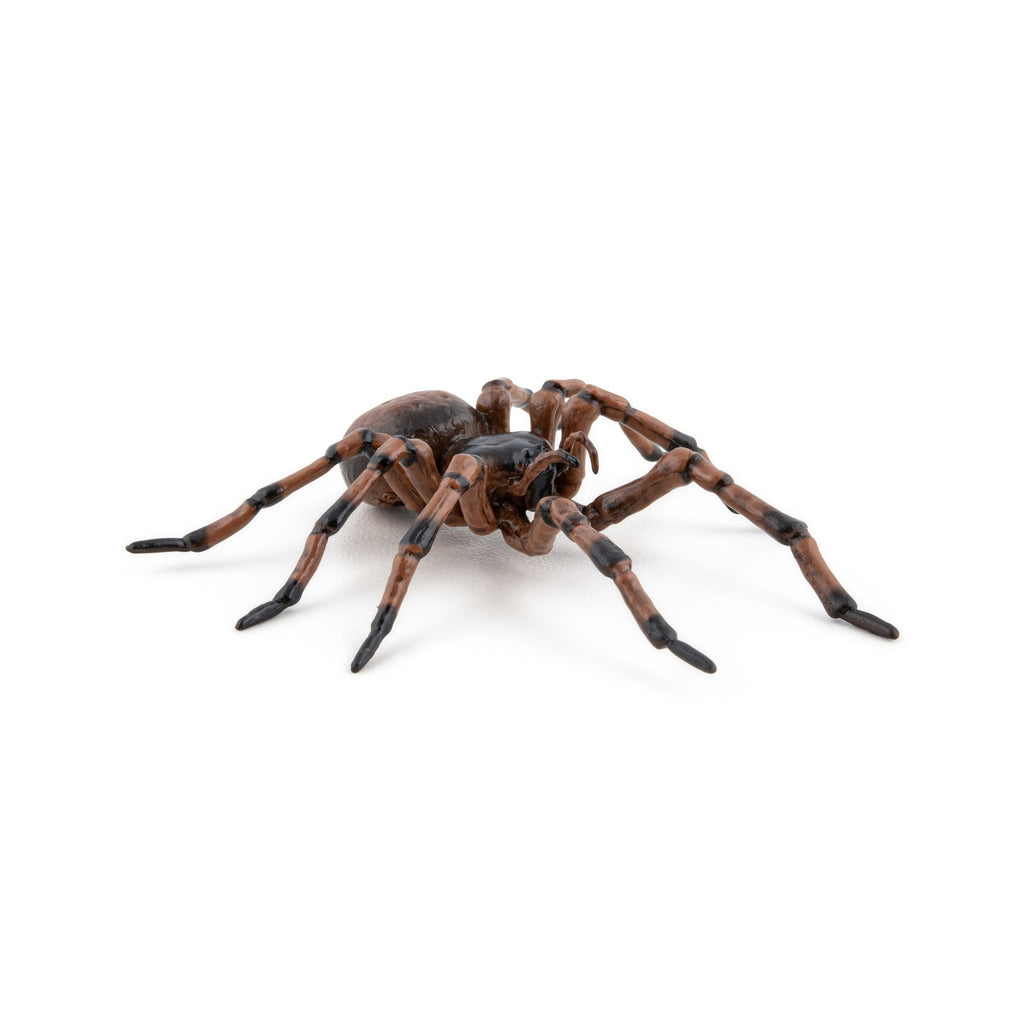 Figurine Araignée commune Papo - animal du jardin
