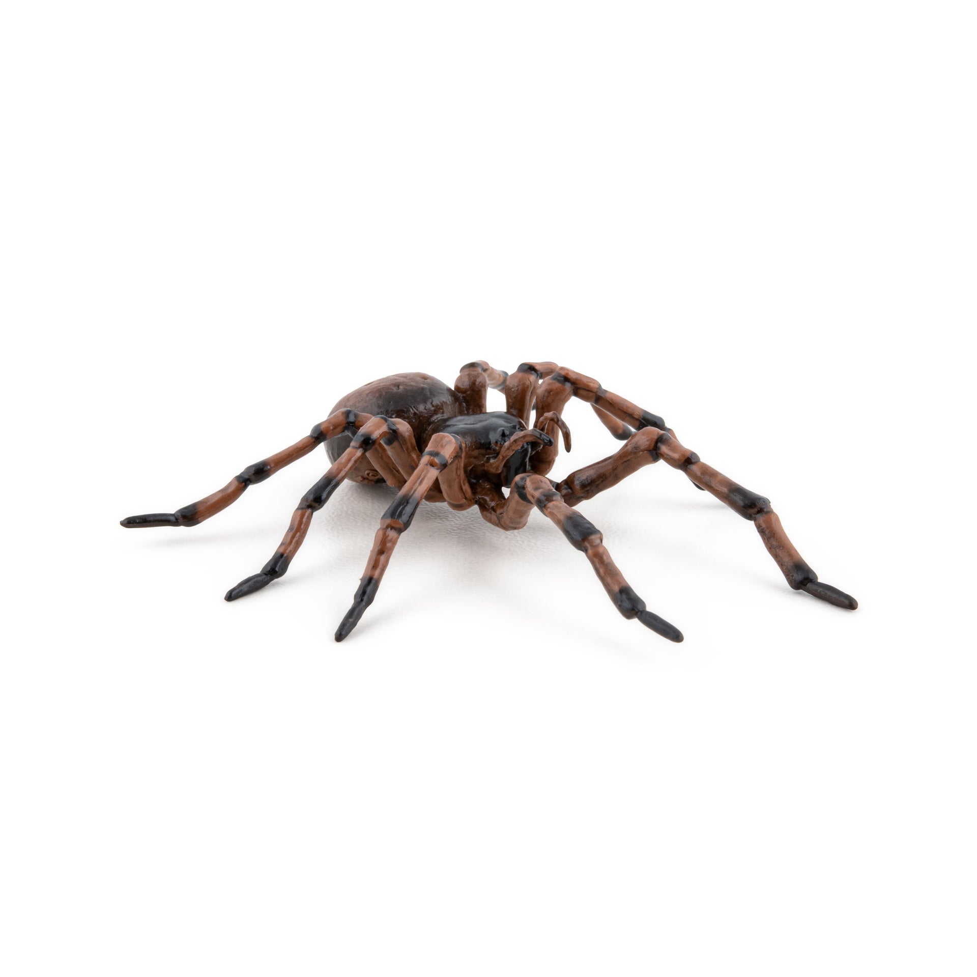 Figurine Araignée commune Papo - animal du jardin