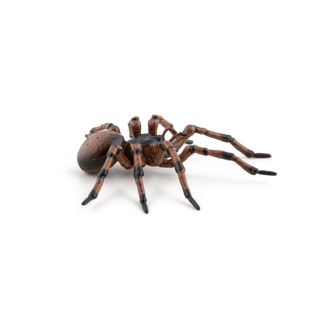 Figurine Araignée commune Papo - animal du jardin
