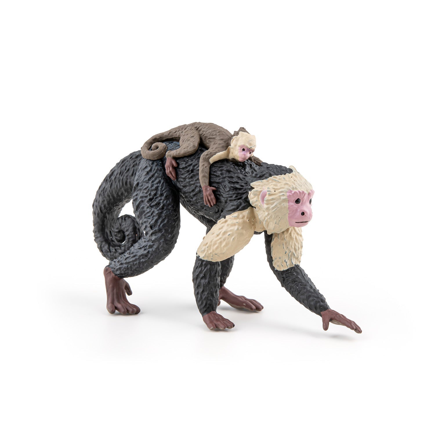 Figurine Capucin Papo - animal sauvage