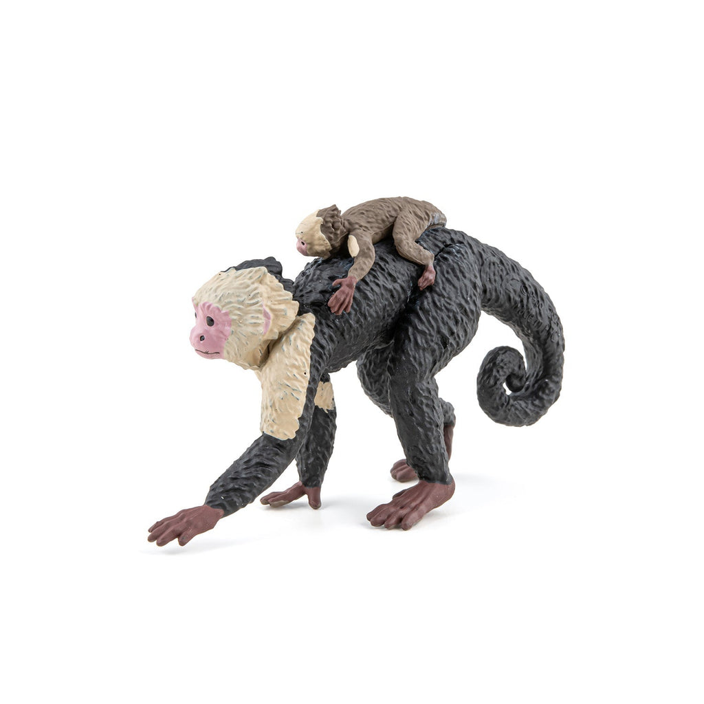 Figurine Capucin Papo - animal sauvage