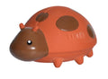 mon premier insecte coccinelle tikiri 78776567