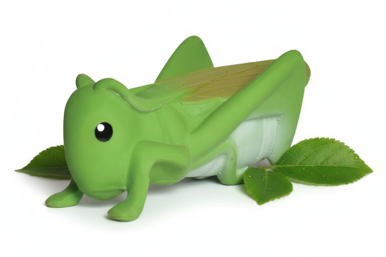 Mon Premier Insecte Sauterelle