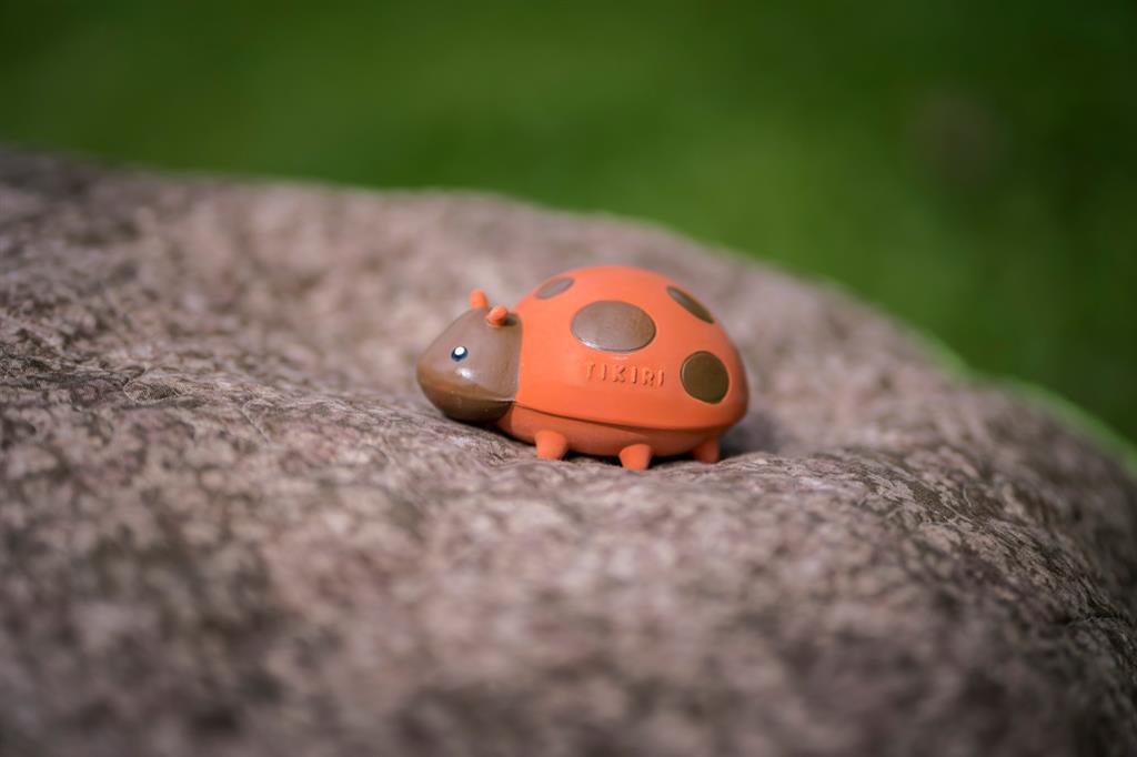 mon premier insecte калинка tikiri