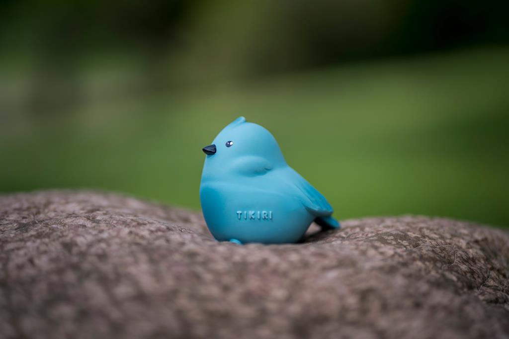 premier animal du jardin oiseau tikiri 