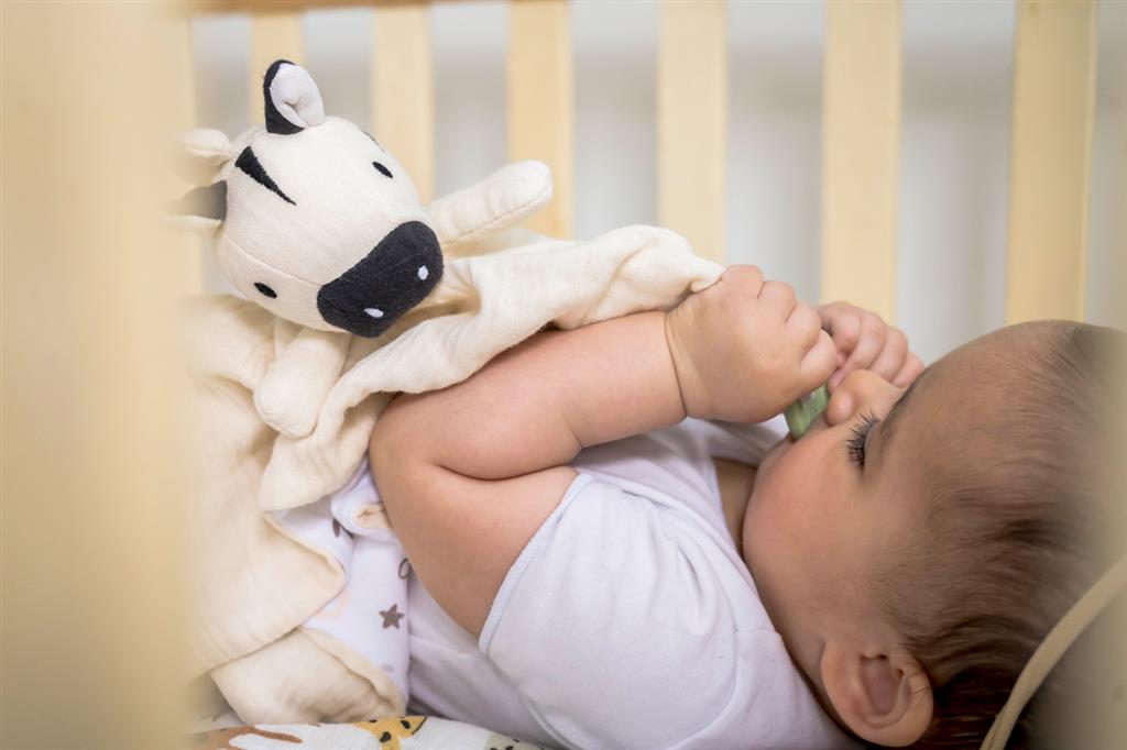 doudou zebre avec support de dentition tikiri 
