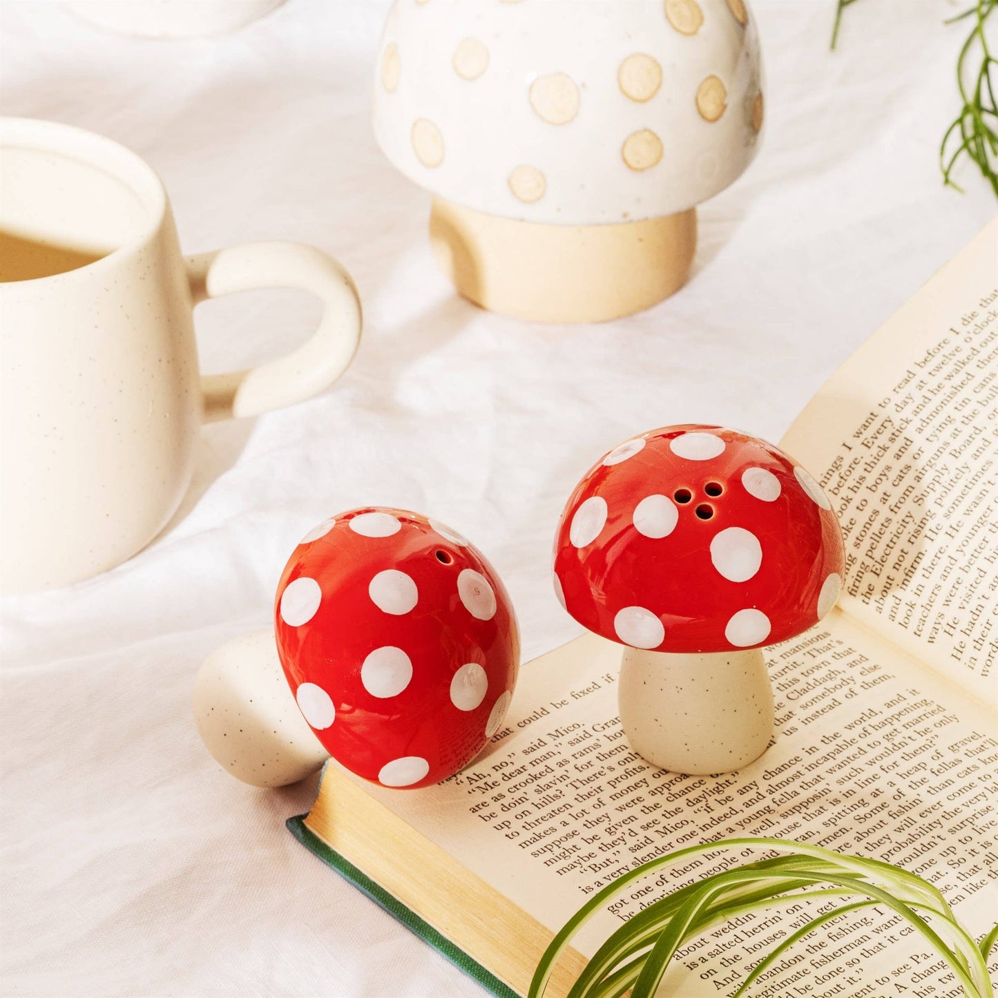 Sel et poivre Champignons rouges