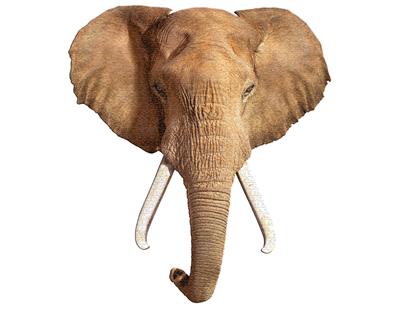 Puzzle Éléphant 700 pièces Madd Capp