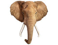 Puzzle Éléphant 700 pièces Madd Capp